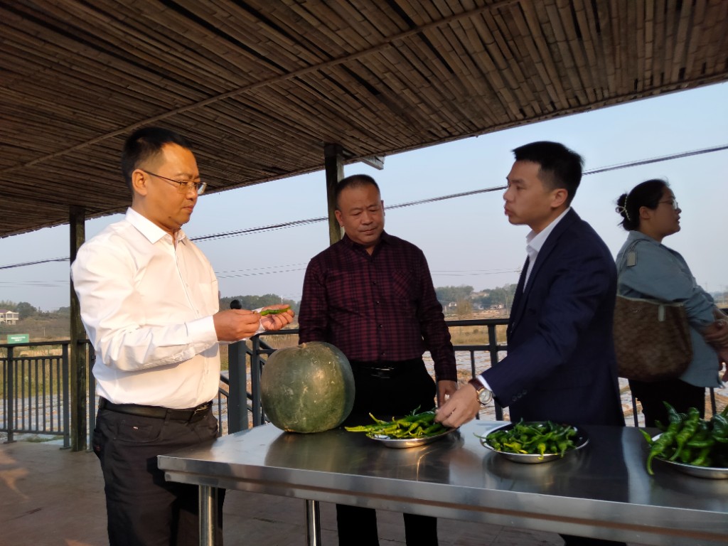 微信图片_20231201113350