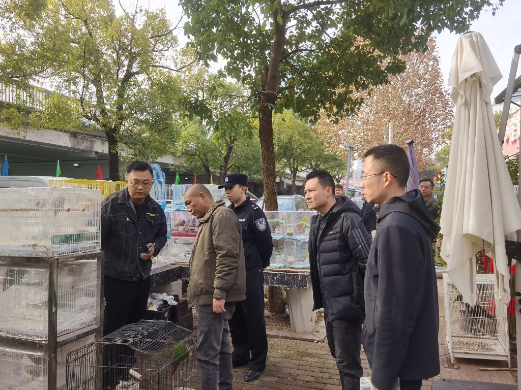 微信图片_202501151529561